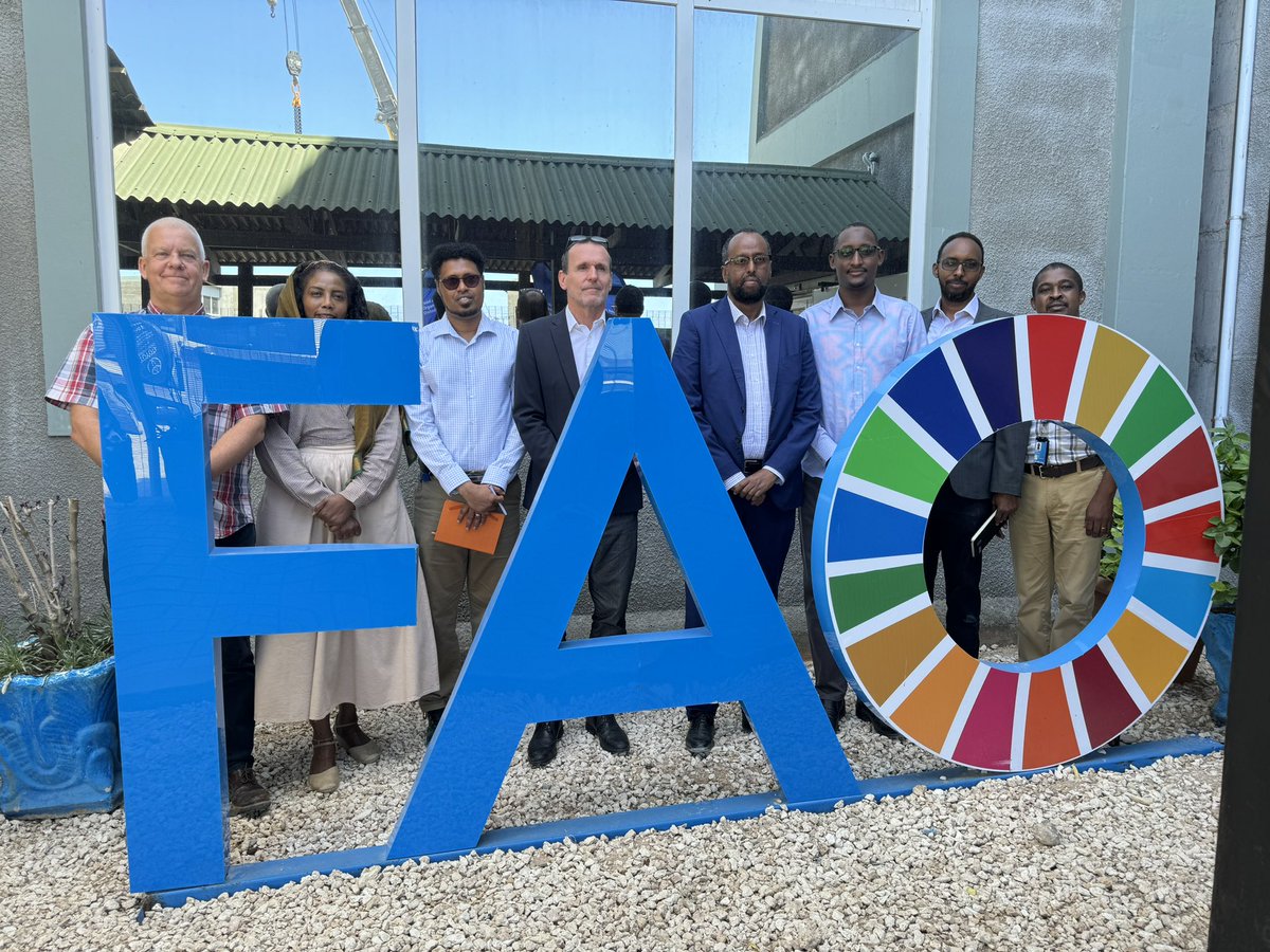In Mogadishu, Met with the @FAOSomalia Country Director @EPeterschmitt and his team. Presented the #SWS comprehensive Disaster Risk Reduction and Intervention Plan (DRRIP) which prioritizes the production sector, including #livestock, #agriculture & #fisheries which are