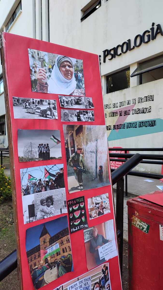 🇵🇸🌎 Así arrancaba hoy temprano en la facultad de Psicología de La Plata la acción mundial contra el genocidio en Gaza. Van multiplicándose en varias facultades del país 🧵 #PalestinaLibre