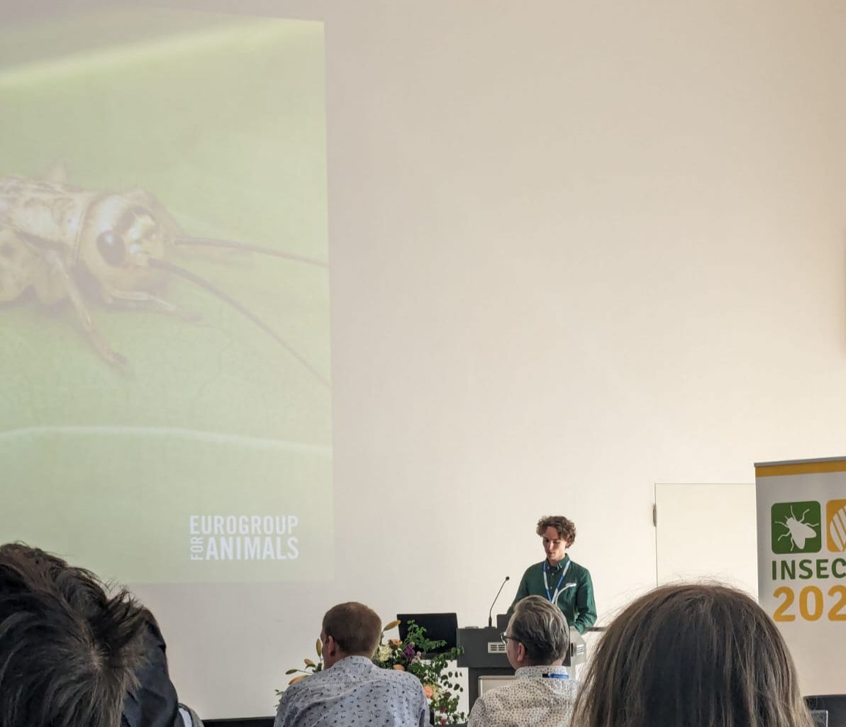 Our political adviser for insect farming, Francis Maugère speaks at the #Insecta2024 conference to share our Scientific Declaration on Insects Sentience and Welfare (bit.ly/3SIgLBU), and discuss the issue of welfare on insect farms with producers and researchers. 👏🦗
