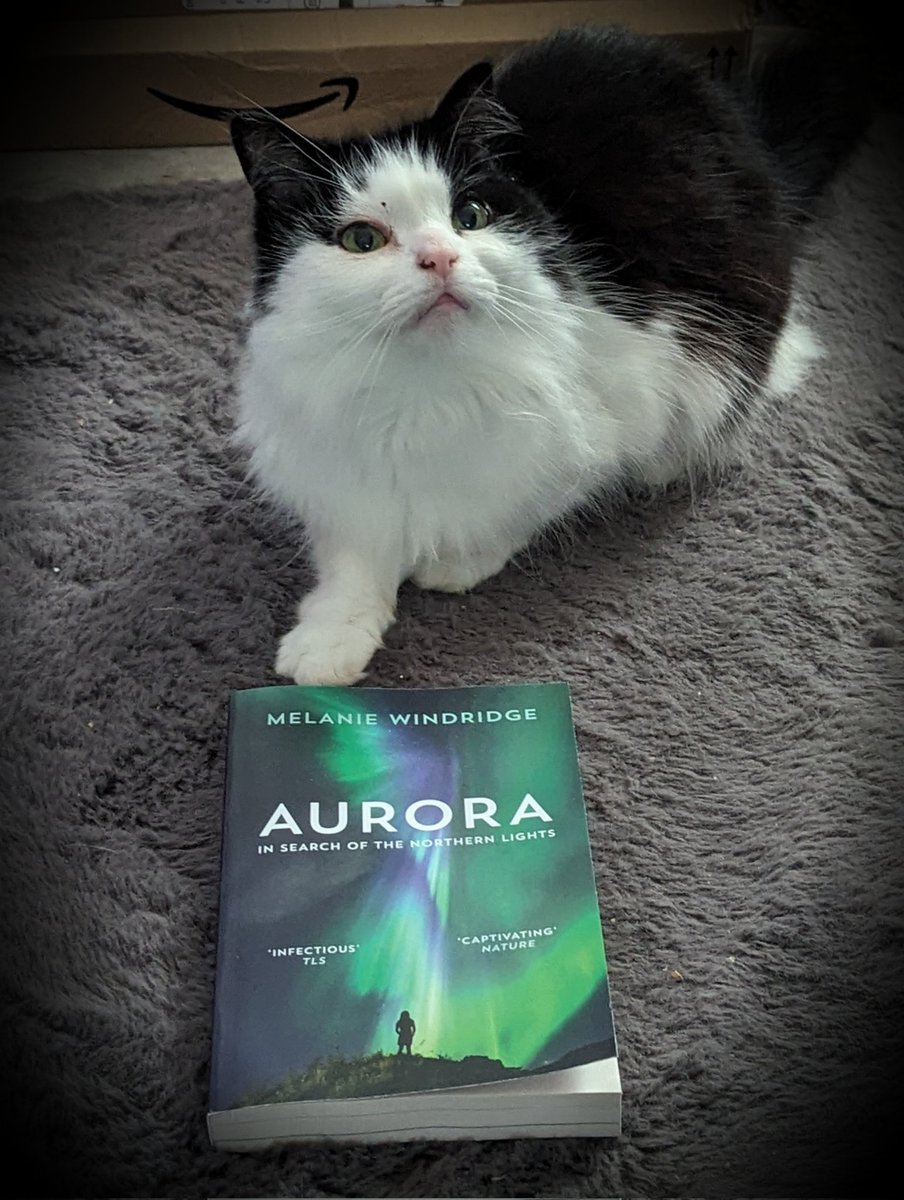 On the recommendation of @Thievesbook I bought 'Aurora' by @m_windridge It's a great book, brilliantly written, a joy to read. (Baffled by the publishers' use of b&w images in a book about the famously beautifully coloured northern lights, but that's not the author's fault!)
