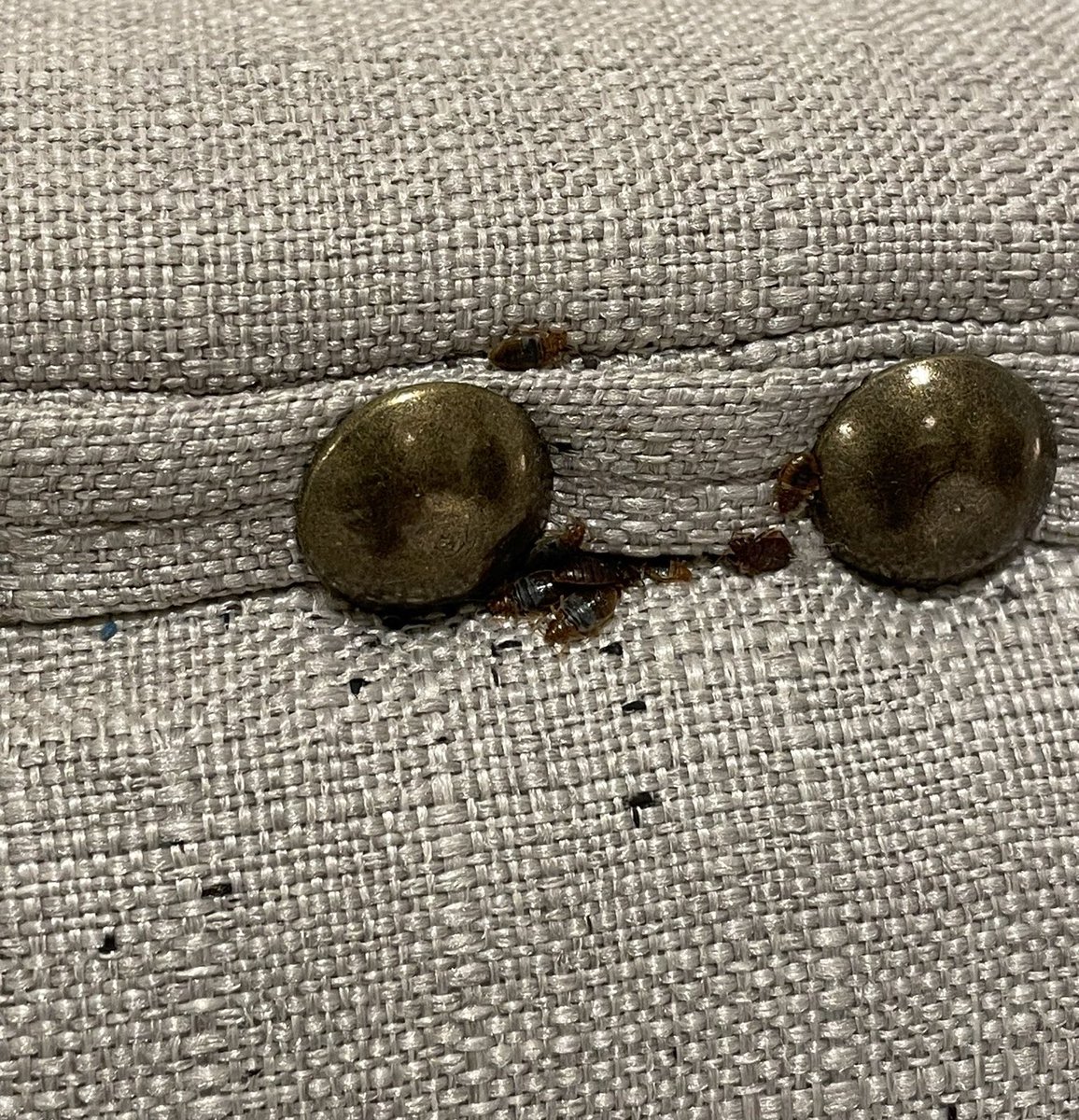 اسأل الرياض tweet media