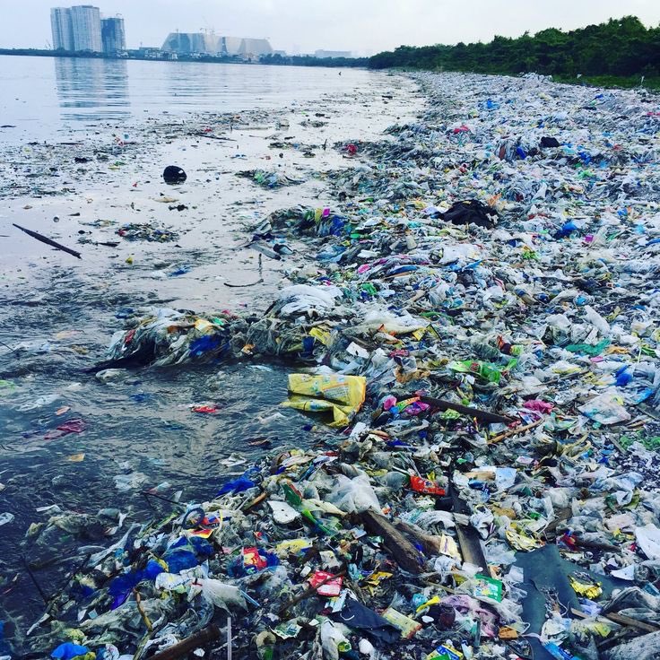 Microplastics, tiny pieces of plastic less than 5 millimeters in size, are now found everywhere in the environment, from the deepest ocean trenches to the tops of mountains.  These microplastics can be ingested by humans and animals, and their long-term health effects are still