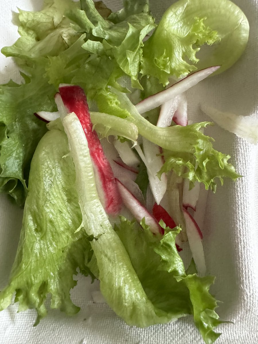 Our first spring harvest of 2023-2024! Delicious sweet radishes were shared at lunch today! Thank you Mrs. Hearan for preparing them @LakeAnneES @fcpsGet2Green @ecorise @EcoSchoolsUSA