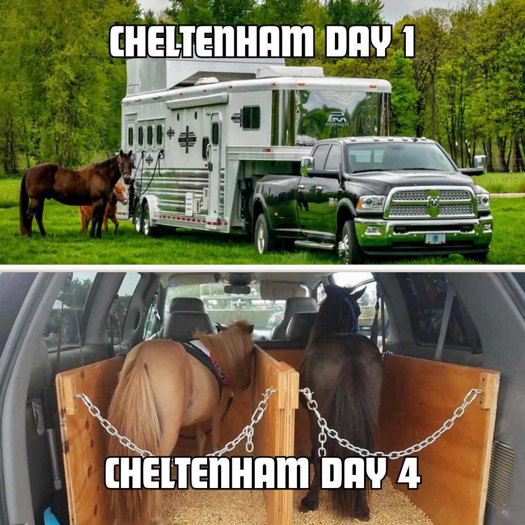 Cheltenham Festival - the only thing jumping higher than the horses is my overdraft