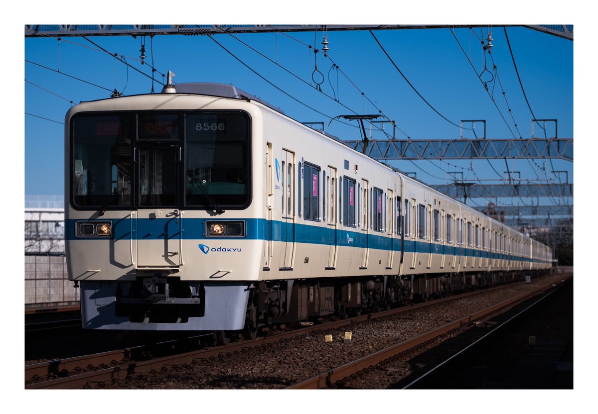 ヲダ tweet media