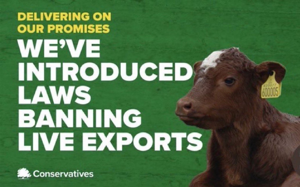 Thank you to our Prime Minister @RishiSunak for delivering the popular Conservative Manifesto Commitment to ban live exports for slaughter and fattening. It is the first live exports ban in Europe and is a huge win for animal welfare #ActionForAnimals