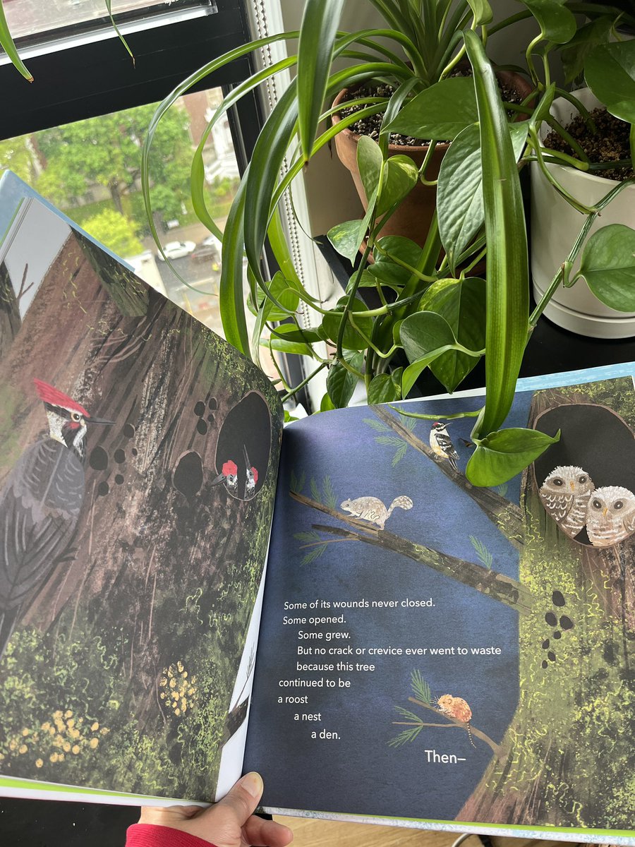 Love this picture book ONE DAY THIS TREE WILL FALL by @LBB_books and Stephanie Fizer Coleman. I never thought I could be so charmed by the rhythm, drama and beauty of the simple, but rich, story of a tree.