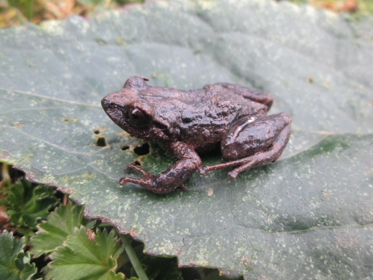 Pablo J. Venegas tweet media