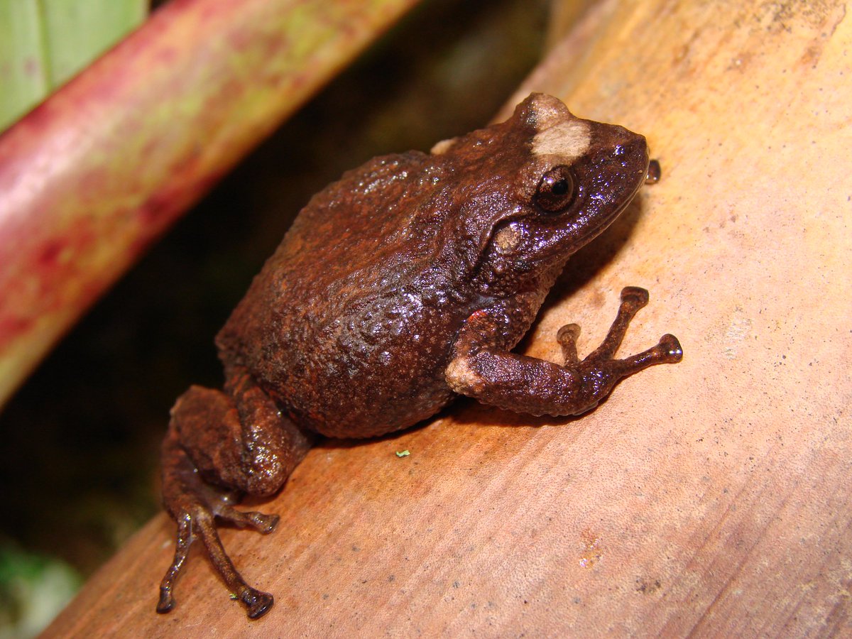 Pablo J. Venegas tweet media