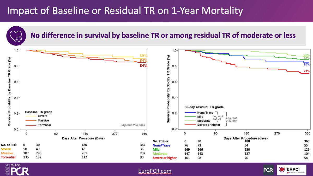 bRIGHT TRIAL 1-YR RESULTS: 🎯T-TEER maintains substantial and sustained TR reduction through one year. 🎯Low rate of MAEs. 🎯 Sustained and significant improvements in quality of life. 🎯Mortality at 1 year was not significantly different according to TR severity at 30-days.