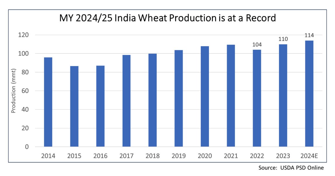 Climate reality check: Indian wheat production at record high