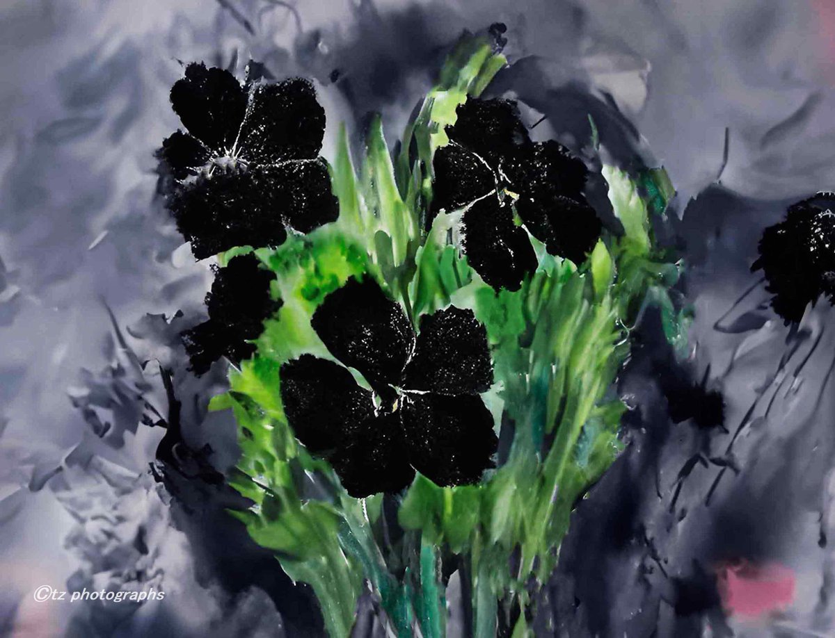 black petals
......tranquility of the heart