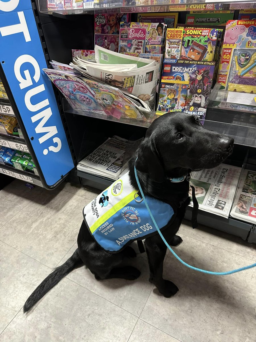 Check out this little cutie! Meet Mowgli. He is Larissa's autism support dog who they took home just a few weeks ago after fundraising with us here at BLF. Despite just being with the family for a few weeks he is already having a big positive impact ❤