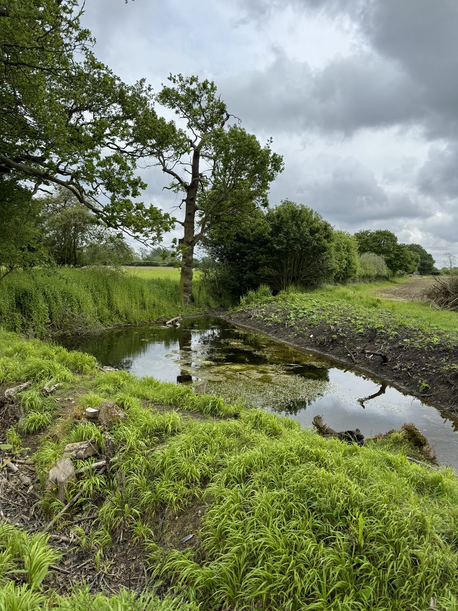 Fab day visiting some of the on-stream ponds that form part of our Pant Valley Pilot project. These ponds do a great job of holding water in the landscape, providing a water resource for wildlife, settling out silt and reducing the turbidity of water before it reaches the river.