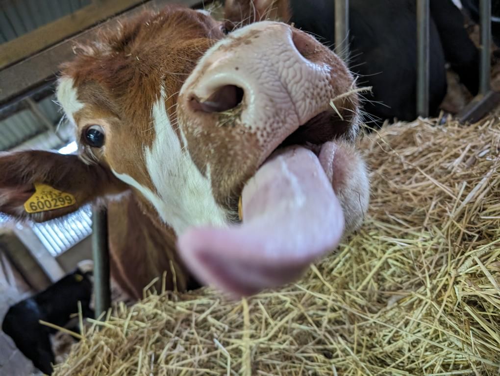 Standalone Farm tweet media