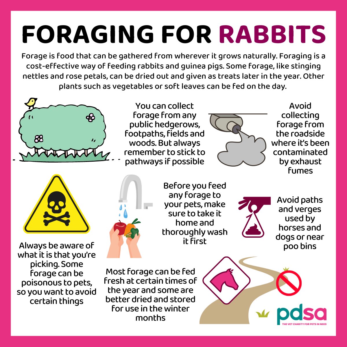 Have you ever tried #Foraging for plants to feed to your #Rabbits? 🐰 Not only is it cost effective, but there’s also a huge variety of plants to find, such as: Clover, Chickweed, Dandelions, Nettles and many more 🥬 Here's some top tips on what to remember whilst out picking!