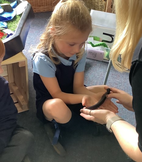 Reception had a visit from the @ZooLabUK this afternoon and enjoyed meeting some minibeasts! They even got to hold some of the creatures! #Fitz_PriScience #Fitz_PriEYFS
