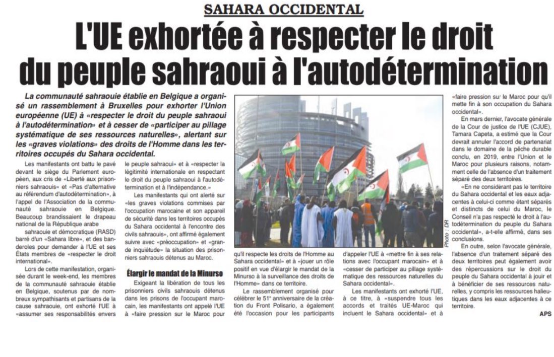 #SaharaOccidental : À Bruxelles, la communauté sahraouie s'est réunie pour demander à l'Union Européenne de respecter le droit du peuple sahraoui à l'autodétermination.