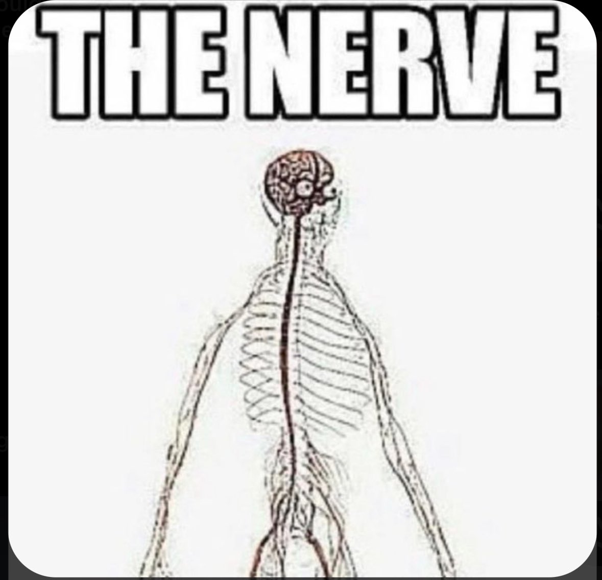 Random_Rln tweet media