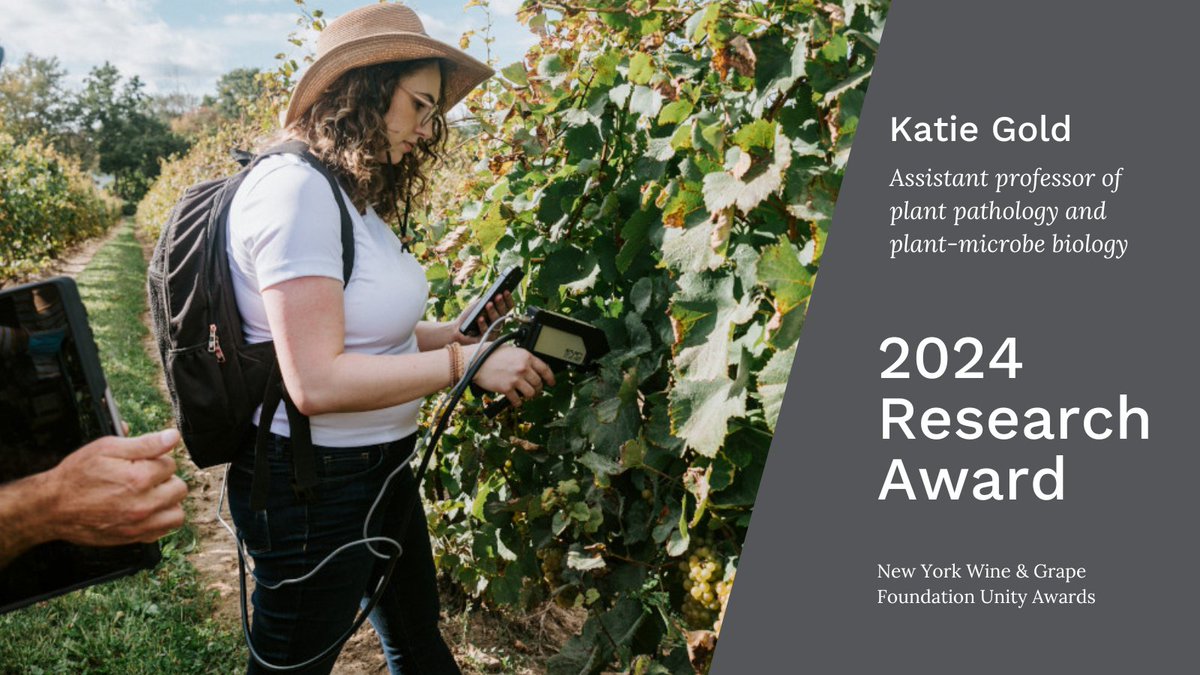 For her innovative work improving pest and disease management in grapes, @kaitlinmgold received the 2024 Research Award from the NYS wine & grape industry. Congrats Katie! newyorkwines.org/for-her-work-w…