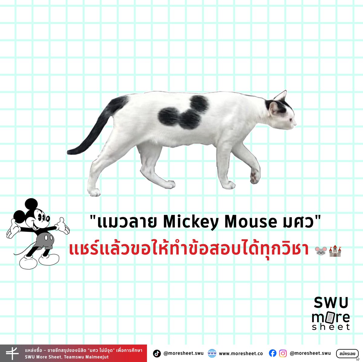 'แมวลาย Mickey Mouse มศว' 🤍🖤
แชร์แล้วขอให้ทำข้อสอบได้ทุกวิชา 🐭🏰

#ทีมมศว
#SWUmoresheet