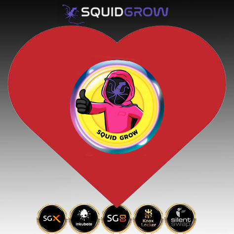 @Squid_Grow @KarateCombat @SecretNetwork @SilentSwapcom @consensus2024 #squidgrow