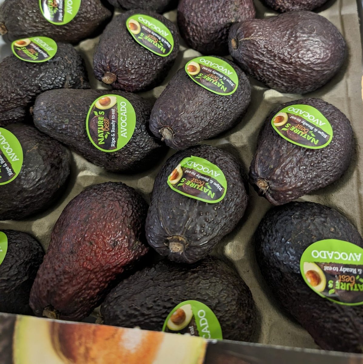 Hass Avocado

Did you know In the United States it accounts for more than 80% of the avocado crop, 95% of the California crop and is the most widely grown avocado in New Zealand.

Call us on 01943 870055