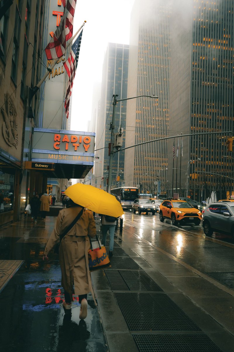 Rainy Days

.
.

#NY1pic  #SonyAlpha #NYC #photography