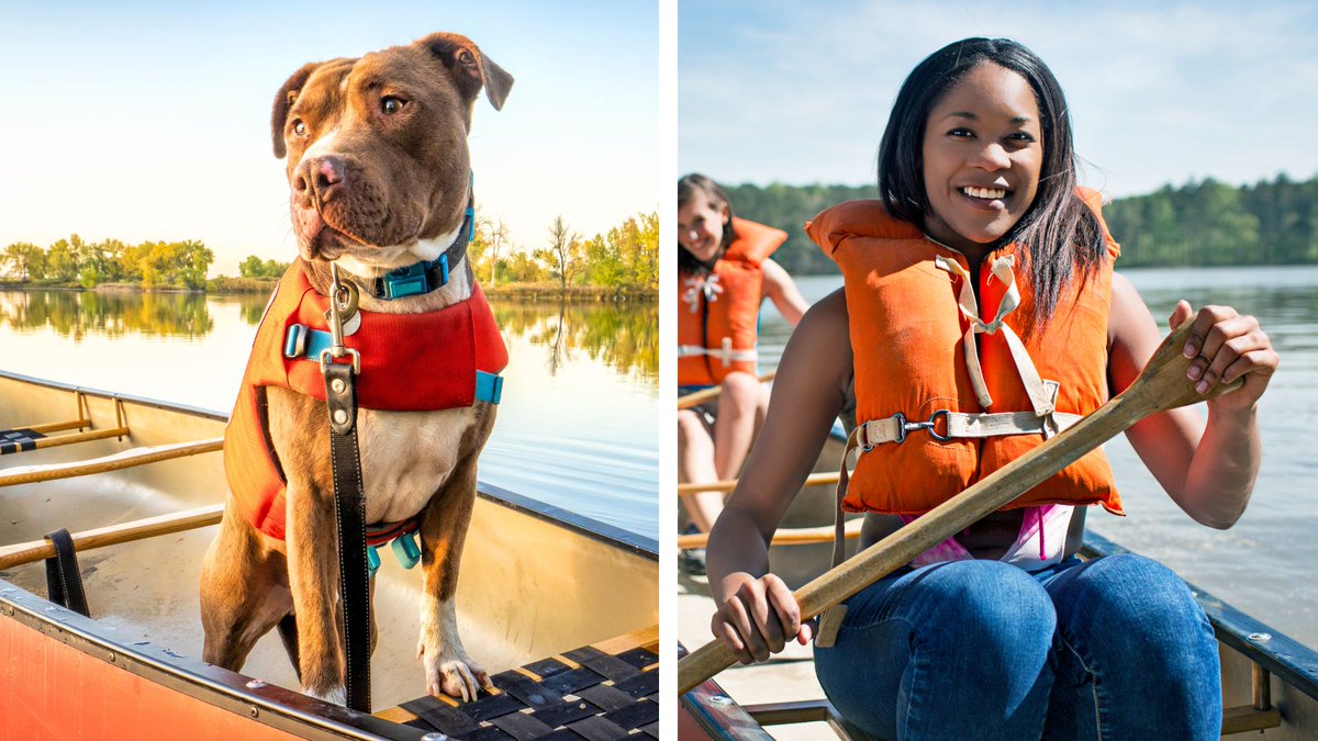 🛟Our lifejackets (for humans AND dogs) are back! Canoe believe it?! Stay safe if you're heading out on the water this long weekend! Splash on over to ➡️ cpl.social/lifejackets #Caledon