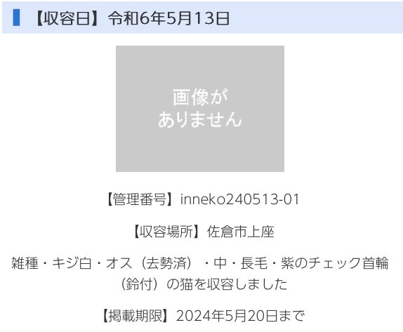 🆘緊急🆘#拡散希望
🆘掲載期限5/20(月)🆘
5/13(月)#佐倉市 #上座
#鈴付き #チェックの首輪(紫)
中型 #長毛 去勢済♂#キジ白猫
🆘大至急‼️🆘🙇🏻‍♂️#千葉県 動物愛護センター℡0476935711
#迷い猫 #迷子猫 #保護猫 #収容猫 #長毛猫 #キジ白 #きじ白 #キジトラ白 #白キジ #キジトラ #トラ猫 #とら猫 #紫の首輪