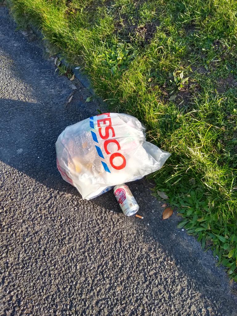 Well done to Twitter user @AddictScrabble for utilising a Tesco bag to do a #2MInuteStreetClean in their area! How inivative! follow their lead and do one in your own community! #SDGsIrl #NationalSpringClean #SpringClean24 #Ireland