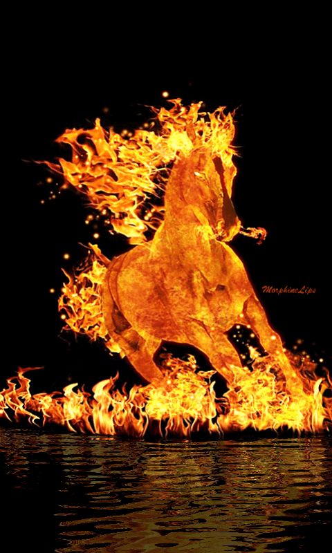 #دعم_لهيب_المشاعر
<a href="/FDDDll/">🇦🇪 φɾìղçҽ البرنـس 🇸🇦</a>
<a href="/nor3rh/">💎Nor elrhman💎</a>
/
<a href="/_itid/">👑𝑄𝑢𝑒𝑒𝑛....🤍🕊</a>
<a href="/Nojlll/">نون.</a>
<a href="/Zia1O/">ℤ𝕚𝕒 ℂ𝕙𝕒𝕦𝕕𝕙𝕒𝕣𝕪</a>
<a href="/fii130/">فاطمة عبدالعزيز 🇸🇦</a>
<a href="/8__OY/">𝐀</a>
@11Abl1
@3nlAnj
<a href="/jo_b52/">نبـْـْْـْـًـًًض الصٍٓحٍْٓـًًًـًًـًـْْراءٍ🍂</a>
<a href="/m0hhr/">𓆩 گــمــنــام کـــارکــن 𓆪</a>
<a href="/2ss_92/">𓅓❀الَحَاتَمَيَهَ𓅓</a>
<a href="/fff1_111/">@fatamh🇸🇦✨</a>
<a href="/hmb_16/">HINA SULEMAN</a>
<a href="/911jabri/">𓃵♕ʊ̤ȷ⎽ɹ̣ᒪ⎽ᓗ̣⎽⅃Ĩםבםב♕</a>
<a href="/tial1281/">ابو. خالد</a>
<a href="/tola_2m/">Lena</a>
<a href="/en990a/">زقره‍ حًضًـرمًيِّهّـ‍♡♕ {{الحساب للبيع}}*_*</a>
@tmltqfy3
<a href="/shd_085/">Shahid Hammad</a>
@9SaMR77
<a href="/alwafyy777/">محـمد الُـِوافي M℘💙</a>
<a href="/affannaser1/">ابوريفان عفان القاضي</a>
<a href="/Leydisher90/">Ley</a>
<a href="/AwadAl_Masabi/">عوض المصعبي | Al_Masabi</a>
<a href="/AminChaudhry12/">Amin Chaudhry</a>
@AhmedMo28176861