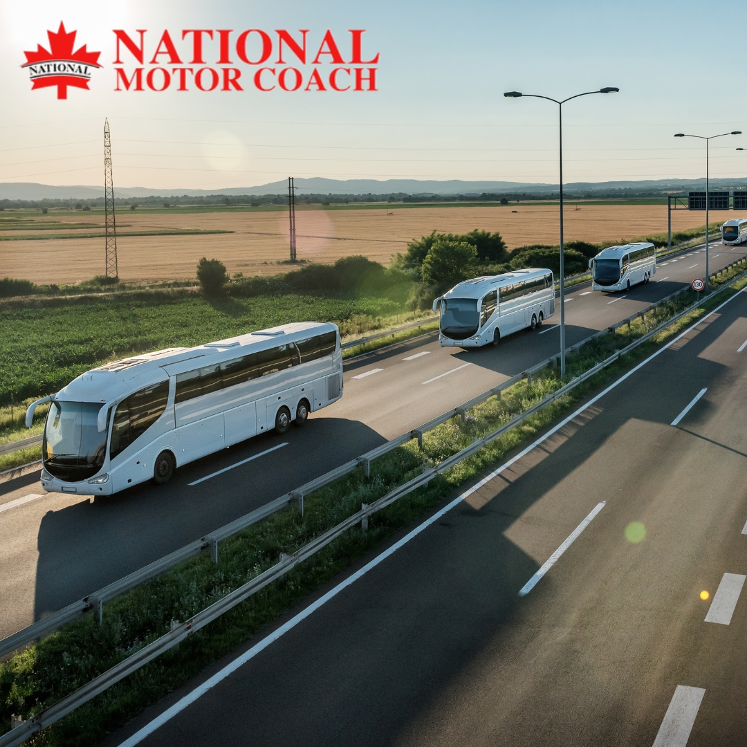 Bringing people together, one mile at a time. Family trips or team outings—we've got you covered. 🚌

🌐 nationalmotorcoach.com
.
.
.
#NationalMotorCoach #TransportationServices #Calgary #Banff #Edmonton #Richmond #BusCharter #PrivateBusCharter #CharterServices #Travel