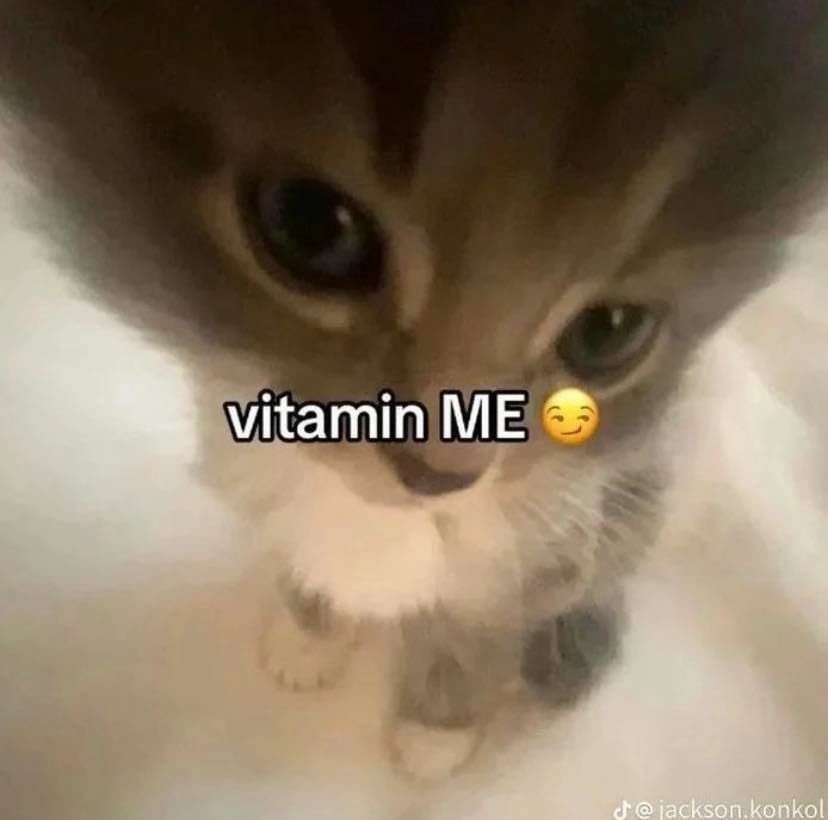 Why you should have a cat (@shouldhavecat) on Twitter photo 