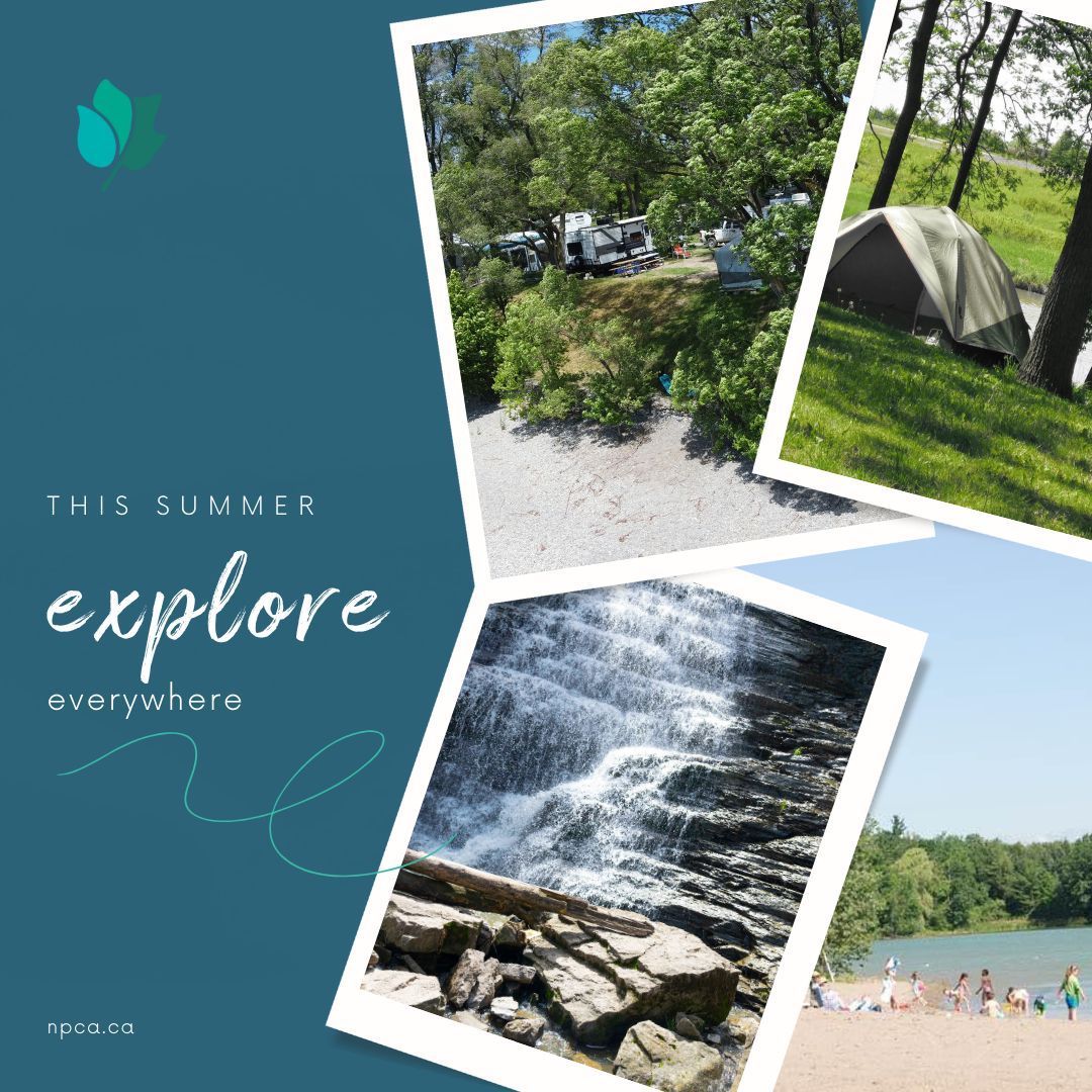 This summer, embark on a journey of discovery with NPCA's unique destinations throughout the Niagara Peninsula watershed. From cascading waterfalls and sandy beaches to scenic trails & serene fishing spots, there are endless adventures waiting for you. buff.ly/3vjfP8g