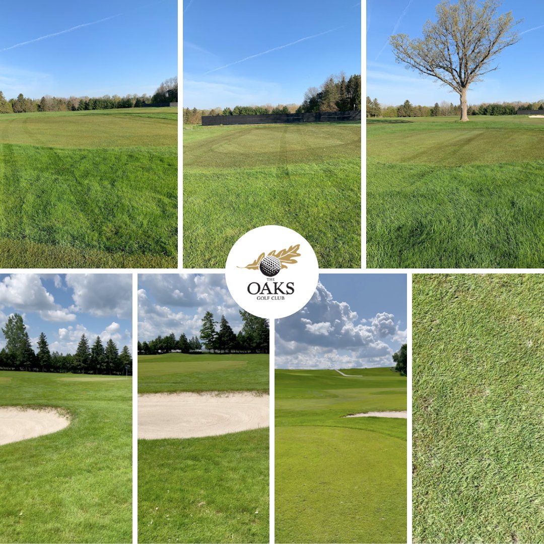 En-Turf by Earth Microbial tweet media