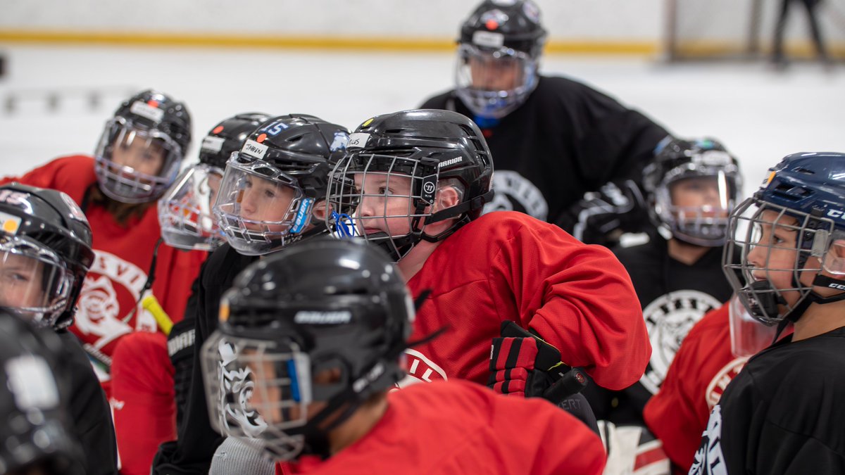 Huntsville Havoc tweet media