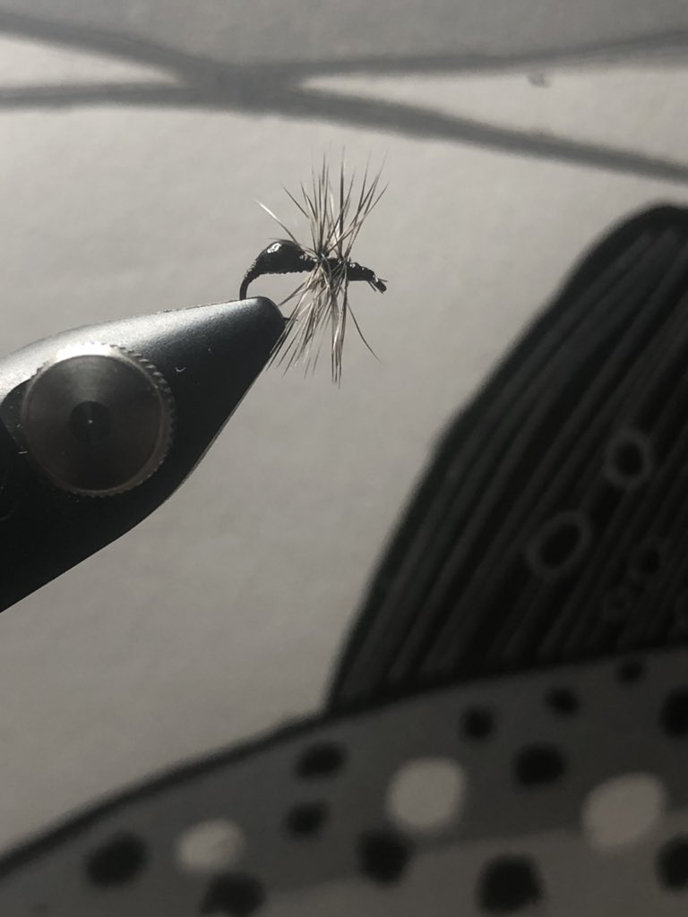 EO Ant… 🐜

Trout print by <a href="/Phishtitz/">David Burton</a>