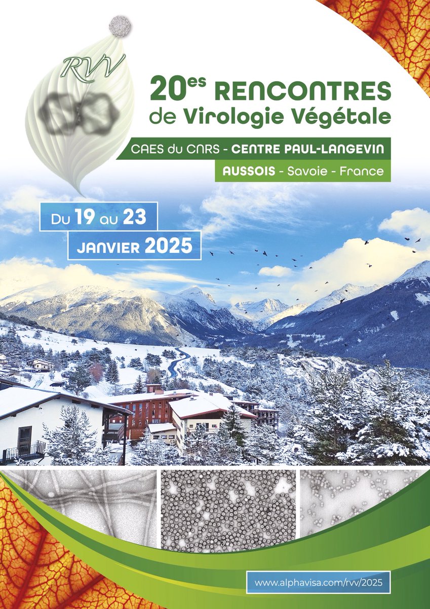 Stéphane Blanc tweet media