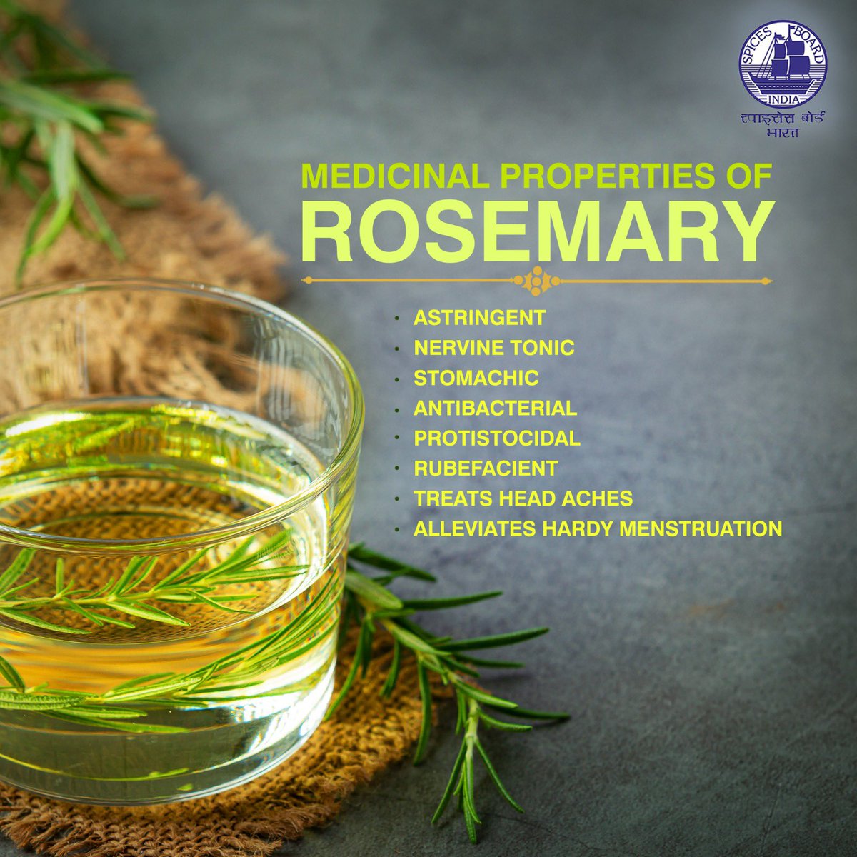 A versatile herb with a range of medicinal properties @doc_goi #spicesboard #rosemary #incrediblespicesofindia