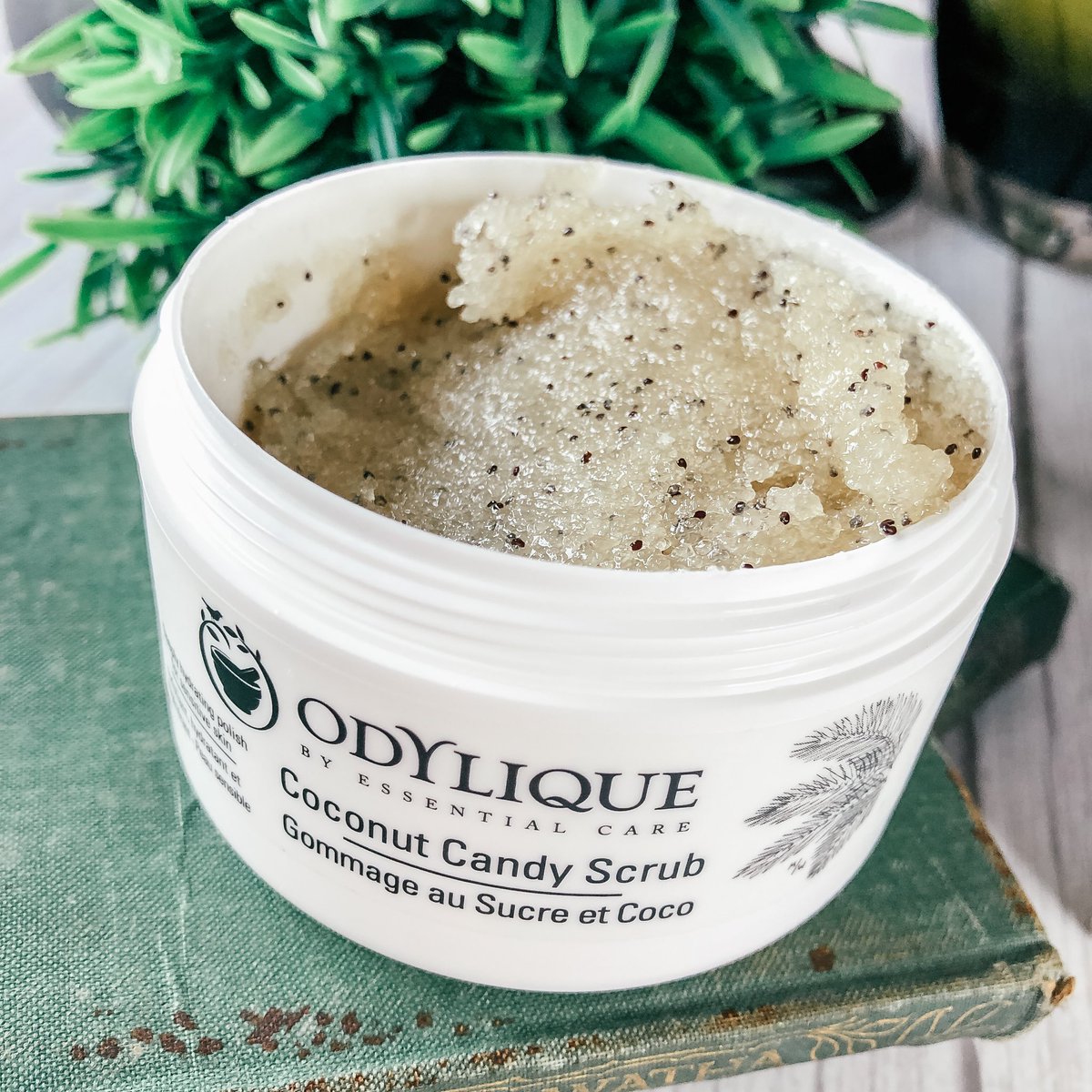 #ad #affiliate | @Odylique's certified organic & 100% natural skincare products. (#CF🐰) Enjoy a 20% discount using code BOXNIP. Code is limited to 1 use per customer. bit.ly/33DpLyv @BloggingBabesRT #TRJForBloggers @BloggersHut #TeamBlogger @_TeamBlogger #odylique