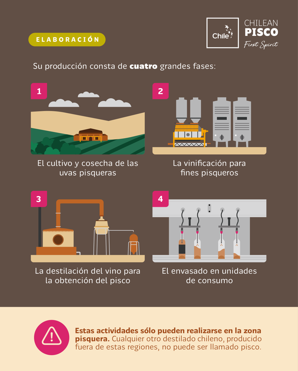 ProChile's tweet photo. ¡Celebramos el Día del Pisco! 🎉 Destilado elaborado en Atacama y Coquimbo y que cuenta con presencia en 42 mercados internacionales. Sólo en la última década promedia más de US$ 3 millones de dólares en exportaciones anuales y ha ganado más de 400 premios🌎  
#DiaDelPisco https://t.co/wzJmPkzLc8