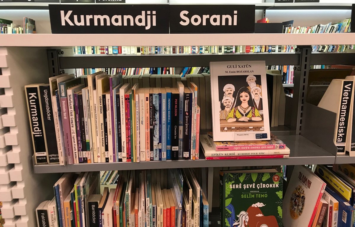 Îro çûm Fridhemsplanê (taxa Stockholmê), li pirtûkxana taxê çavên min li van gotinên kurdî ket: 'Kurmancî-Soranî'. Konseya Çandî ya Dewletê alîkariya çap û belavkirina pirtûkan dike. Ji her pirtûkê 287 heban distîne û wan dişîne her aliyê Swêdê! Statûya kurdî li Swêdê bilind e.