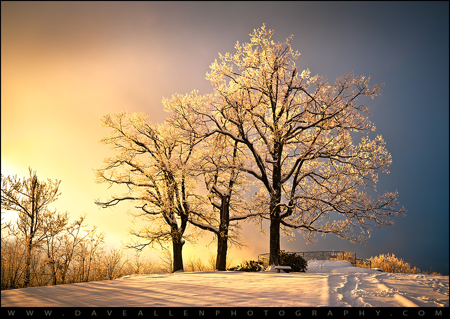 @jasonrowphoto This one was pretty cold, the trees had a couple inches of rime ice crystals on them...