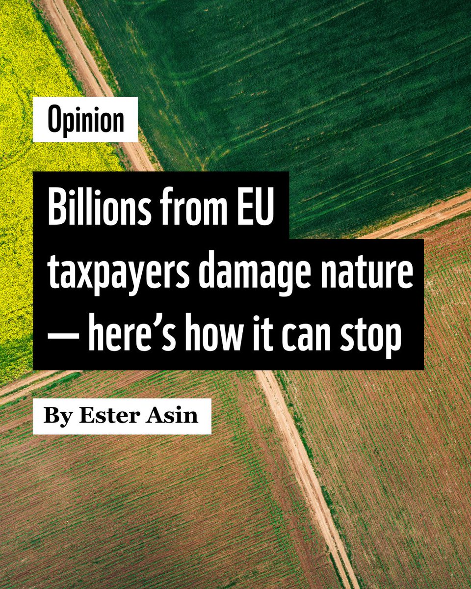 ✍️The EU’s reaction to the farmers’ protests misses the core issues: aggressive lobbying by extreme right groups manipulating the narrative and the misuse of EU agricultural funds by Member States, writes <a href="/EsterAsinEU/">Ester Asin</a>

Read her op-ed for <a href="/euronews/">euronews</a> ➡️ bit.ly/4bjdRtQ