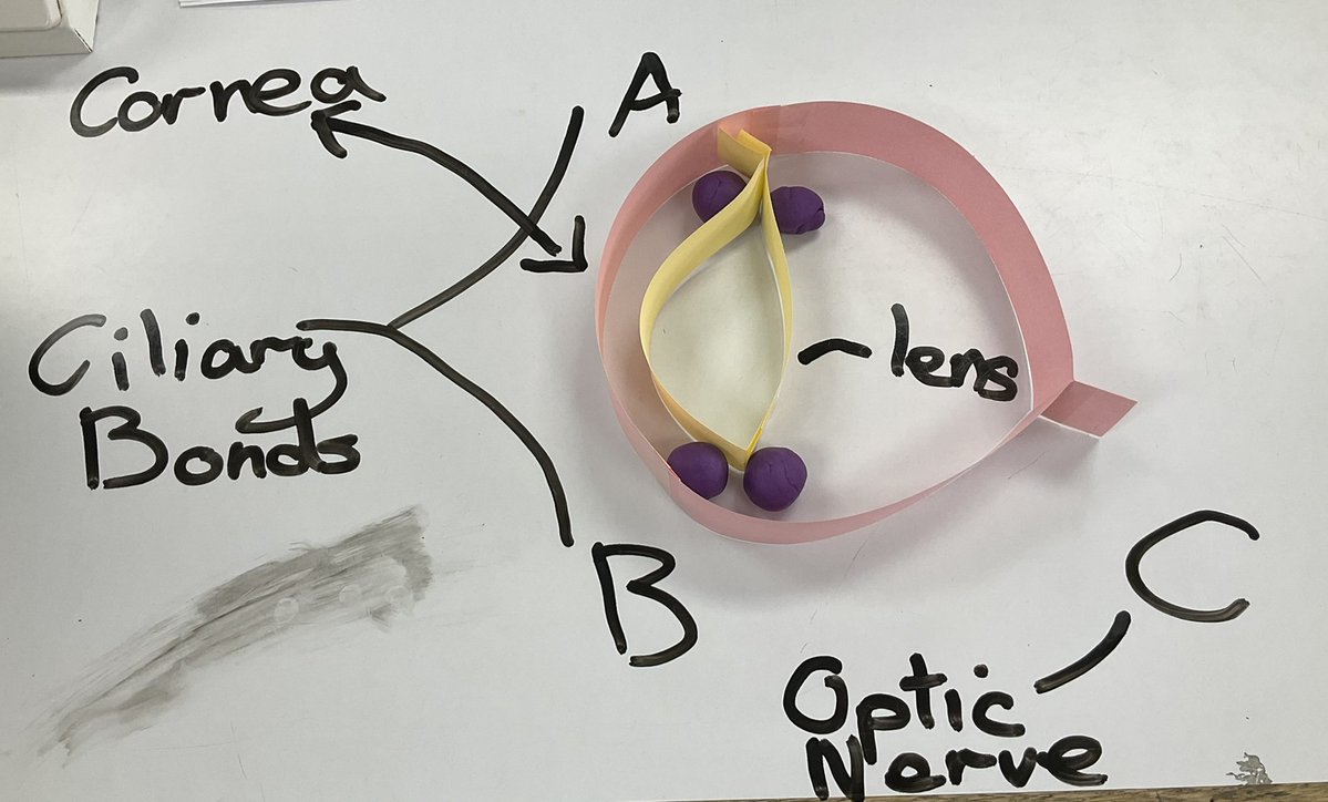 Science at Pangbourne College tweet media