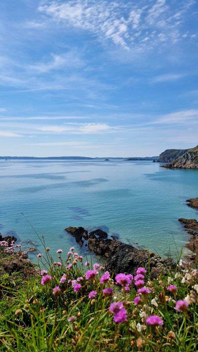 Qu'elles sont jolies nos côtes bretonnes au printemps 🌸🌸🌸
Presqu'île de Crozon 
#Bretagne #Finistère #Bzh