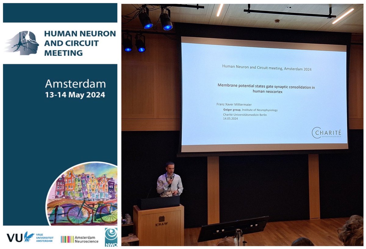 Thank you Natalia Goriounova, Huib Mansvelder and Christiaan De Kock for organizing the wonderful Human Neuron and Circuit meeting in Amsterdam!
Thank you also for the opportunity to present our work!

Check out our preprint if you want to know more: researchsquare.com/article/rs-374…