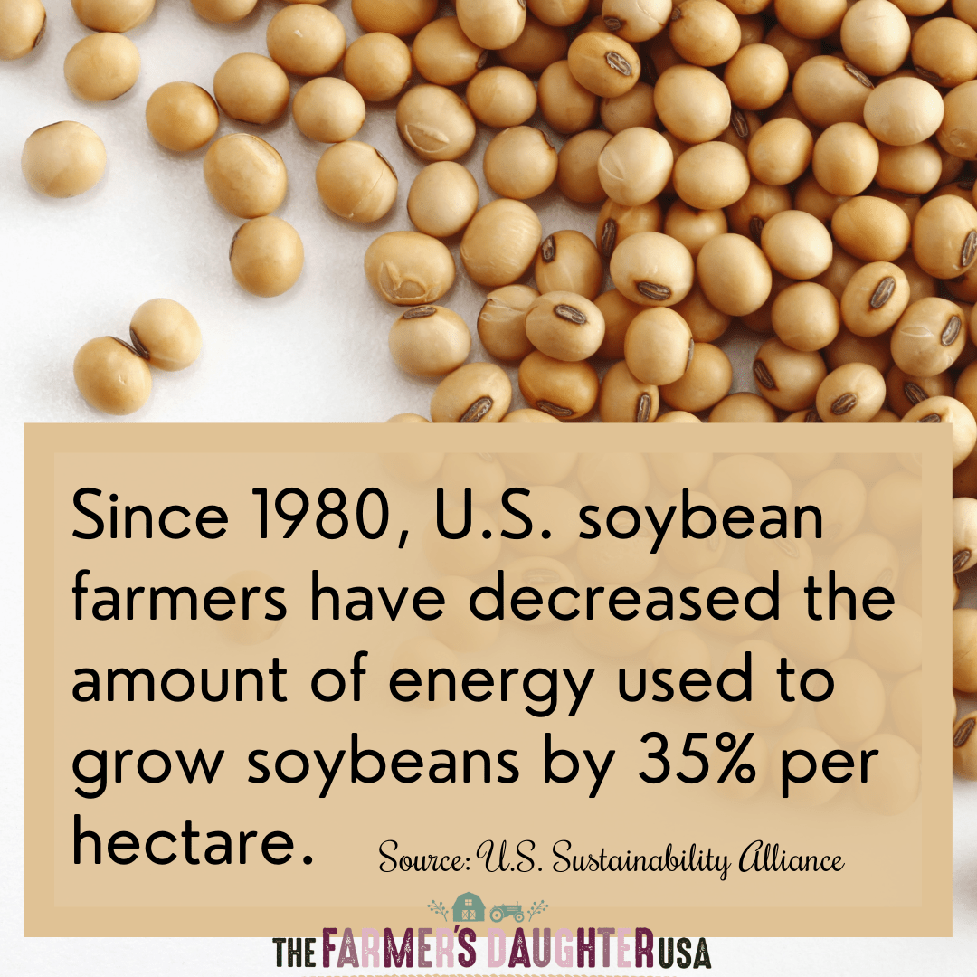 Soy Production & Energy Use

Source:  U.S. Sustainability Alliance 

 The post  Soy Production & Energy Use  appeared first on  The Farmer's Daughter USA .

thefarmersdaughterusa.com/soy-production…
#farmers #buylocal