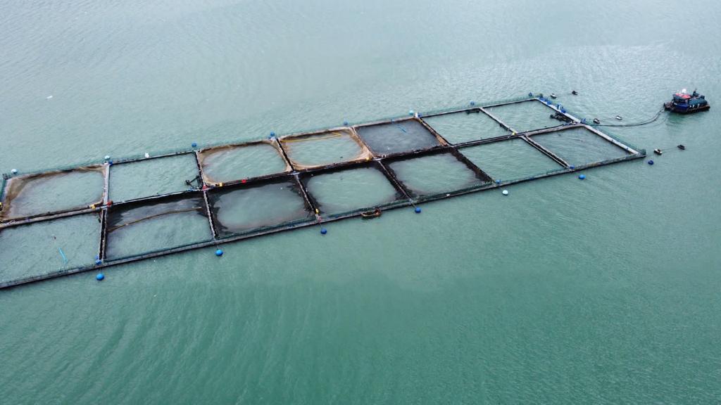 #Aysén: En Histórico fallo: Corte Suprema acoge recursos de casación interpuestos por Sernapesca y condena a dos empresas salmoneras al pago de multas millonarias por reincidencia. 
Revisa los detalles en: sernapesca.cl/noticias/en-hi…